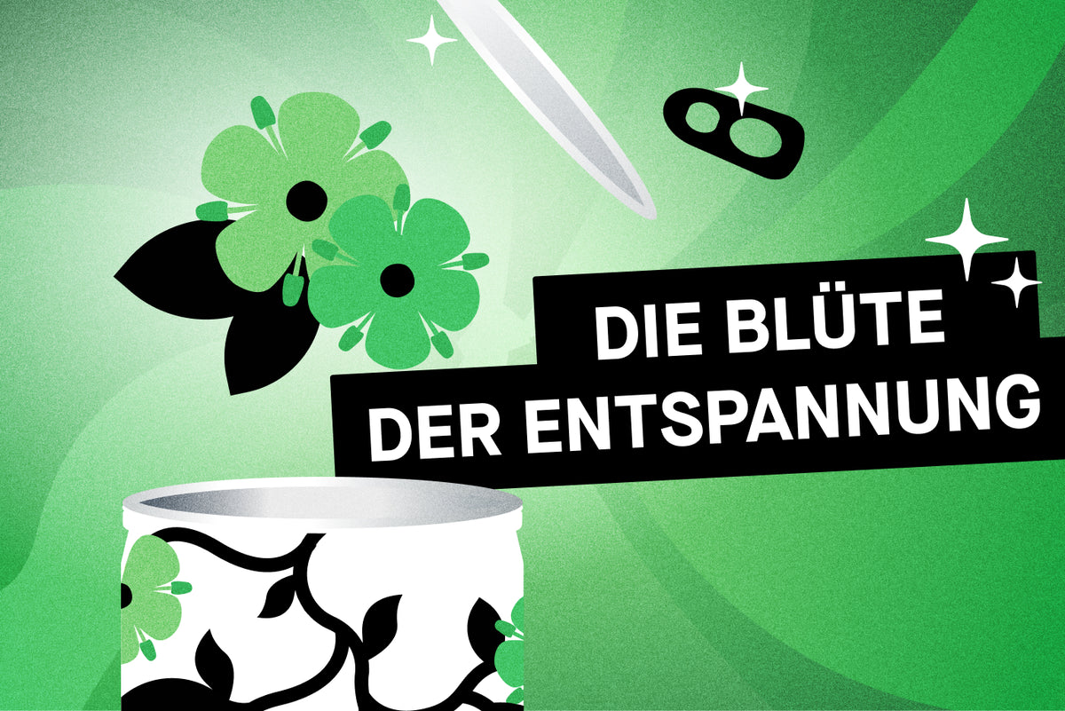 Holunder elderflower sparklys hard seltzer original zeitgeist alkohol Erfrischung Entspannung Holunderblüte